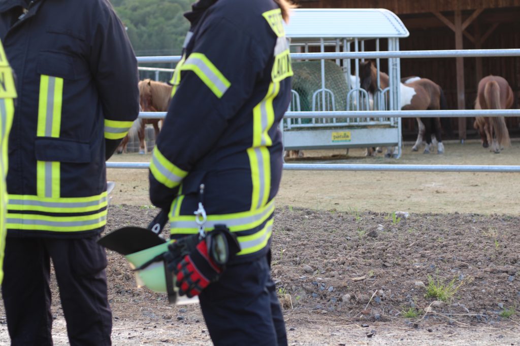 Feuerwehrleute mit Ponys