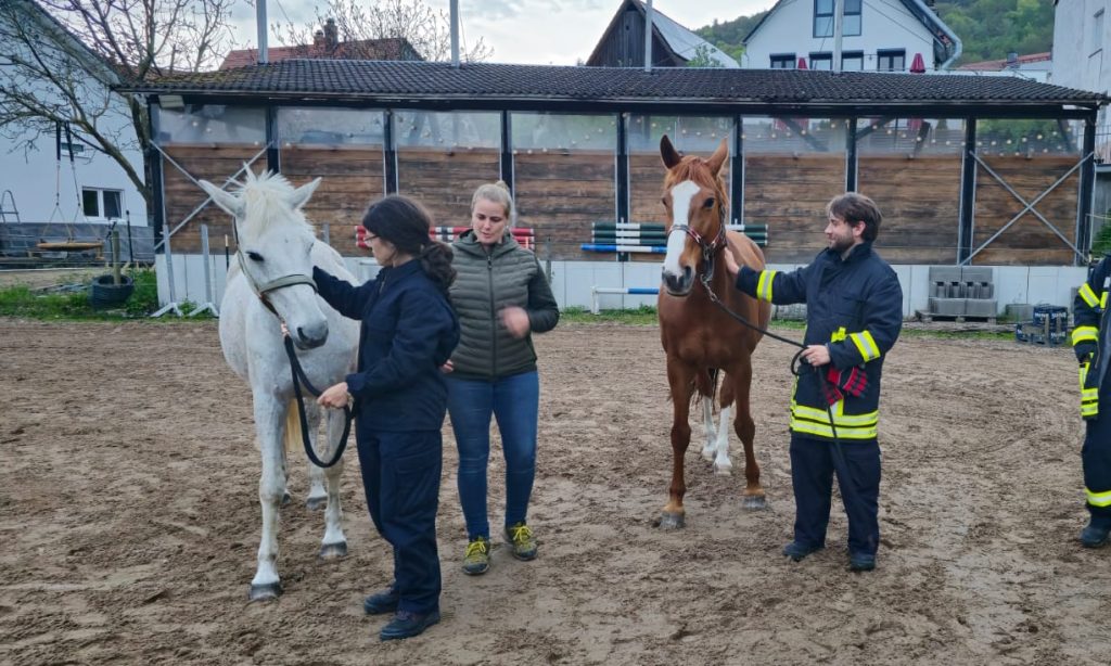 Tanja und Jan haben von Sandra gelernt, Pferde aufzuzäumen (Foto: SK)
