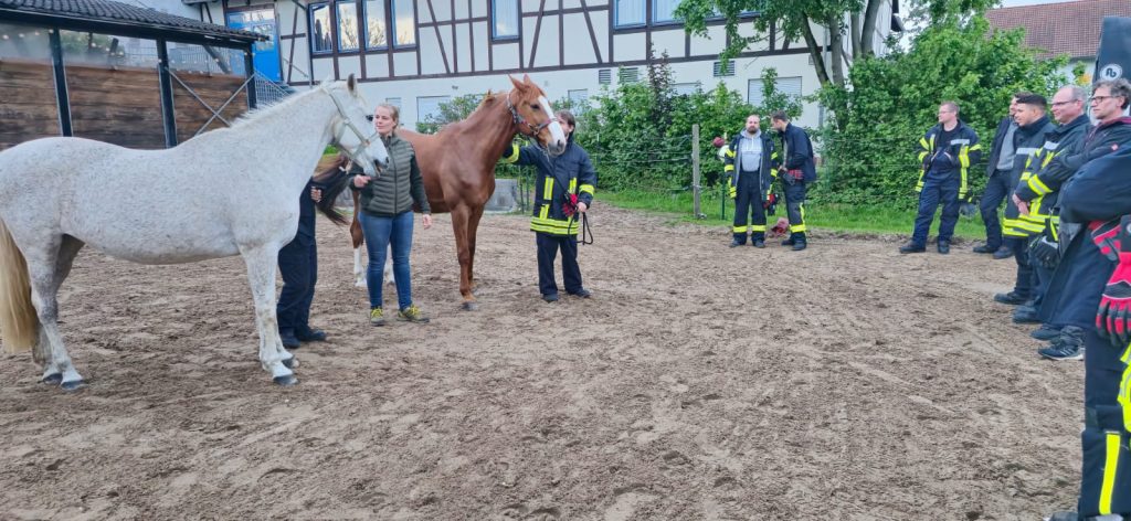 Die Feuerwehrleute bei der Übung zur Tierrettung in Lanzingen (Foto: SK)