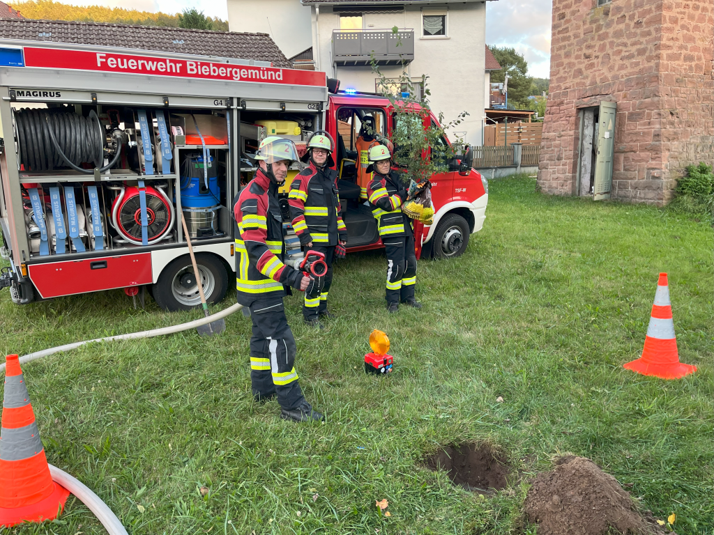 Raus aus dem TSF-W (Foto: DF)